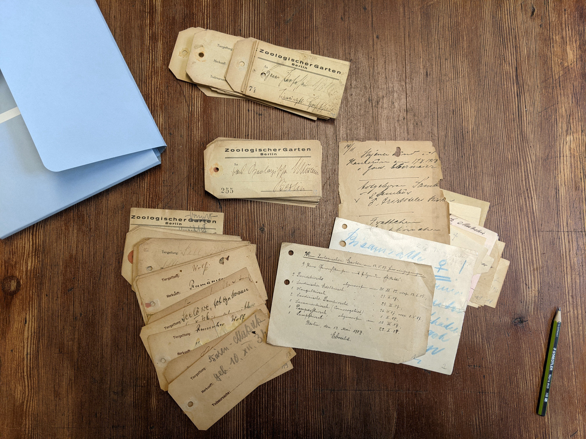 Archivarbeit: Stapel zahlreicher, vergilbter Etiketten und Zettel neben Mappe und Stift.