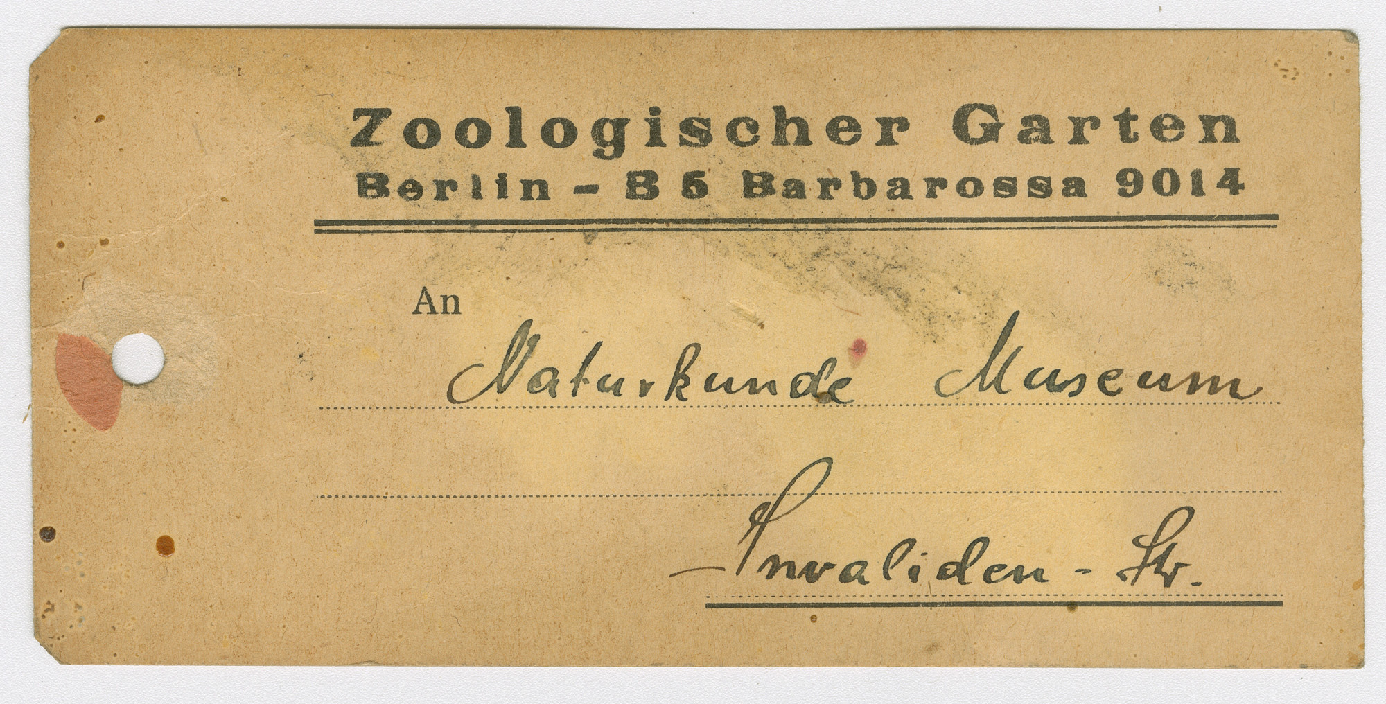 Vergilbte, gelochte Papierkarte mit Flecken. Vordruck oben: Zoologischer Garten Berlin – B5 Barbarossa 9014 / An. Handschriftlich: Naturkunde Museum / Invaliden-Str.