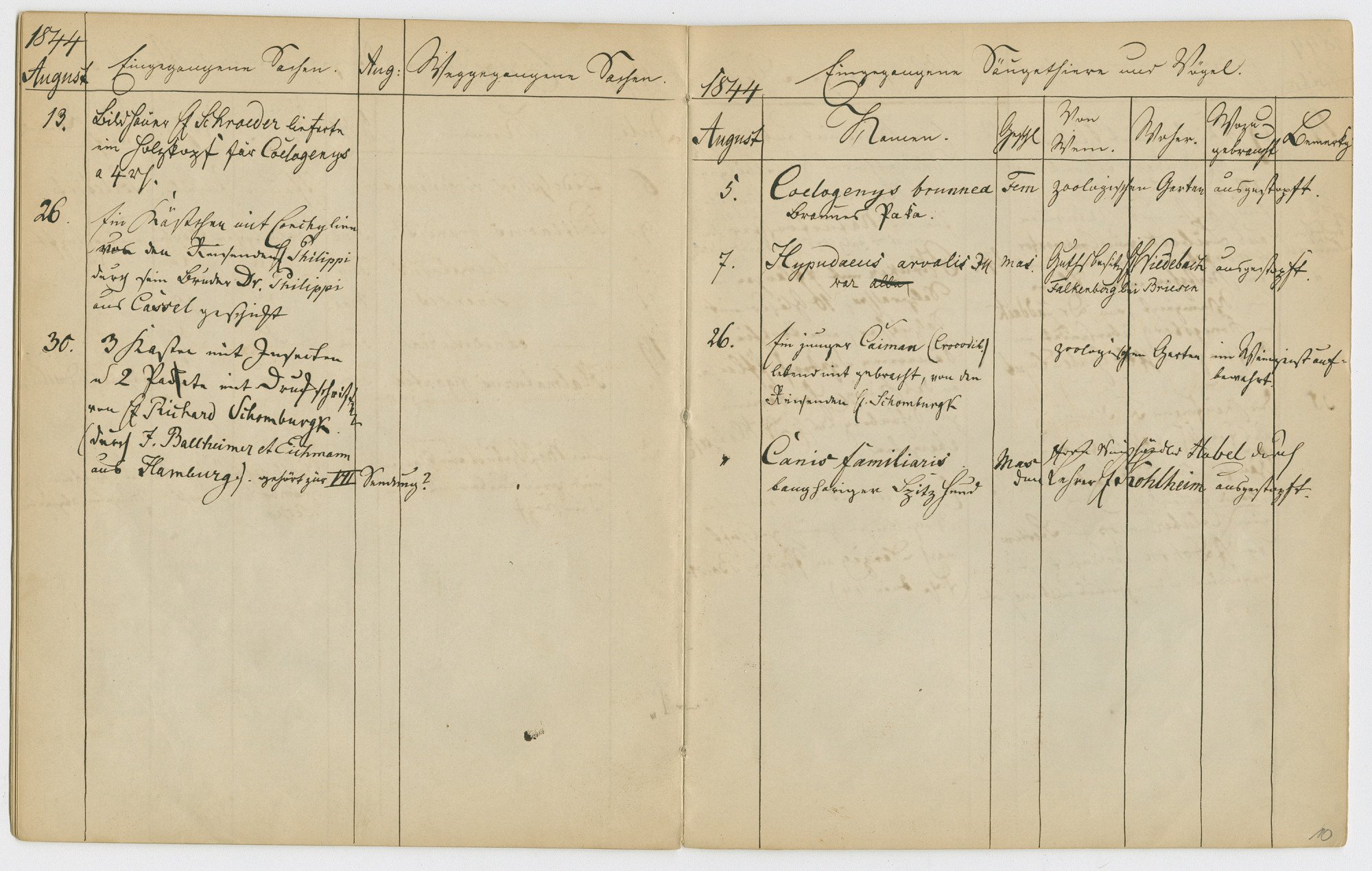 Die Doppelseite eines aufgeschlagenen Notizbuchs zeigt handschriftliche Einträge in einer gezeichneten Tabelleneinteilung für den Monat August im Jahr 1844. 