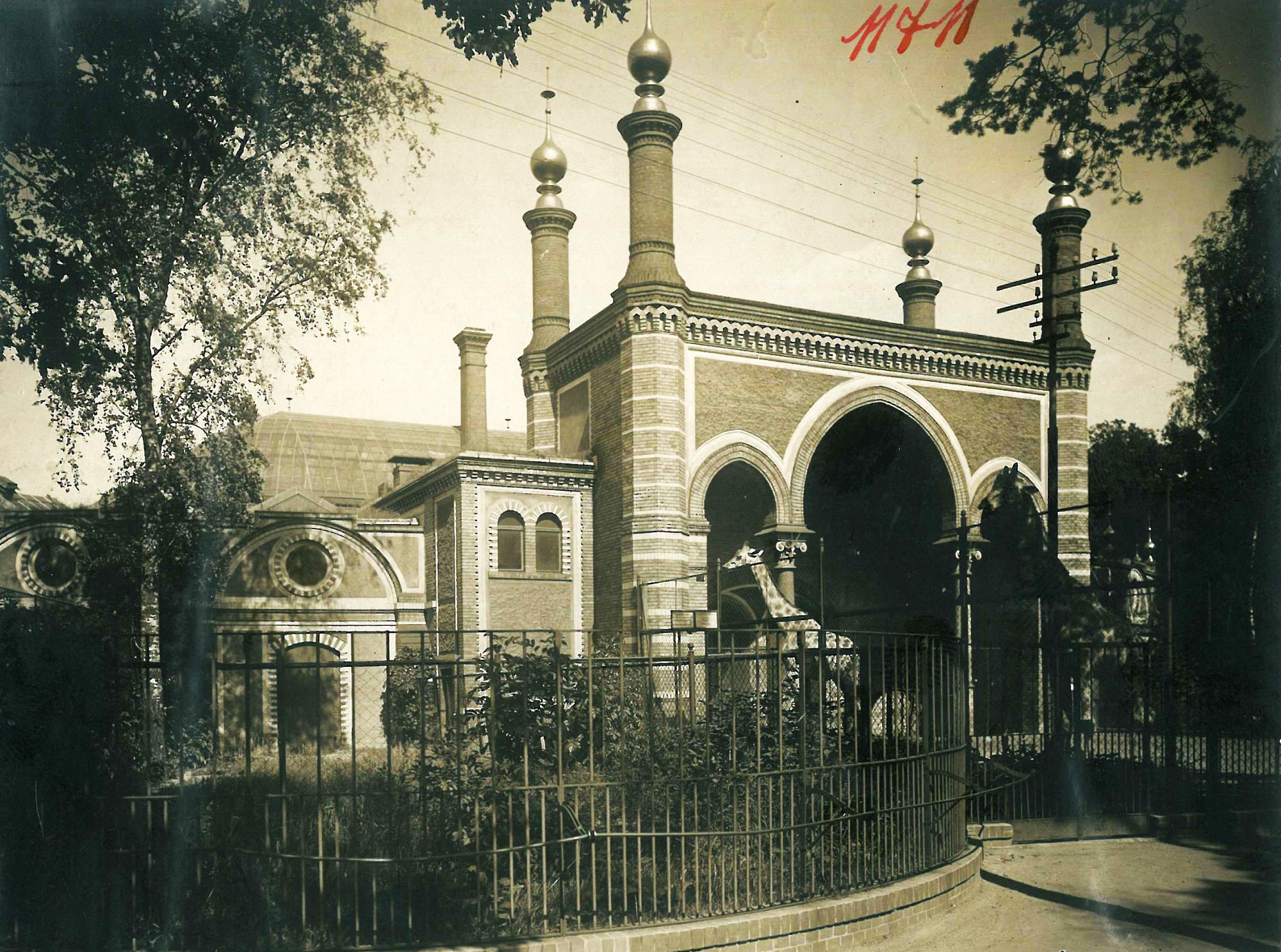 Black and white photo: building with Arabic / neo-Moorish repertoire of forms, including gemel windows, geometric decoration, horseshoe arches, and slender columns and towers In front of it, two giraffes stand behind a fence.