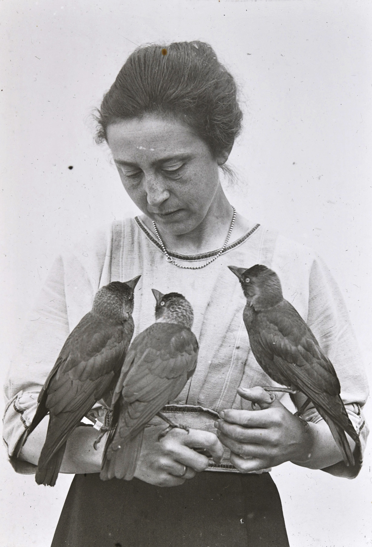Black and white photograph: A young woman with dark hair in a light-colored blouse looks down at three jackdaws, perching on her arms and facing toward her.