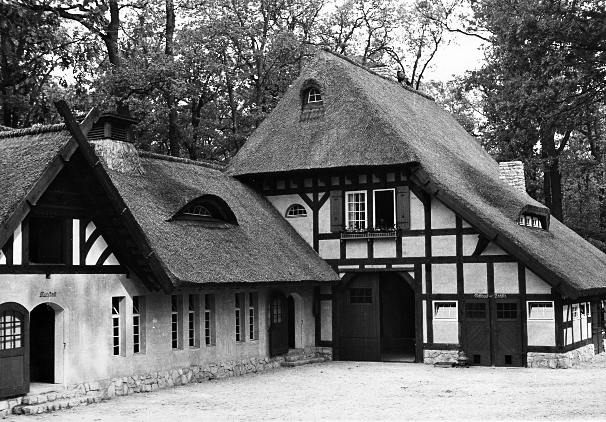 Black and white photograph: Replica of farmhouse with thatched roof