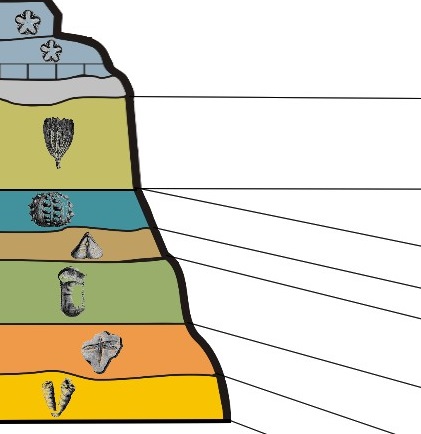 Micropaleontological Formations