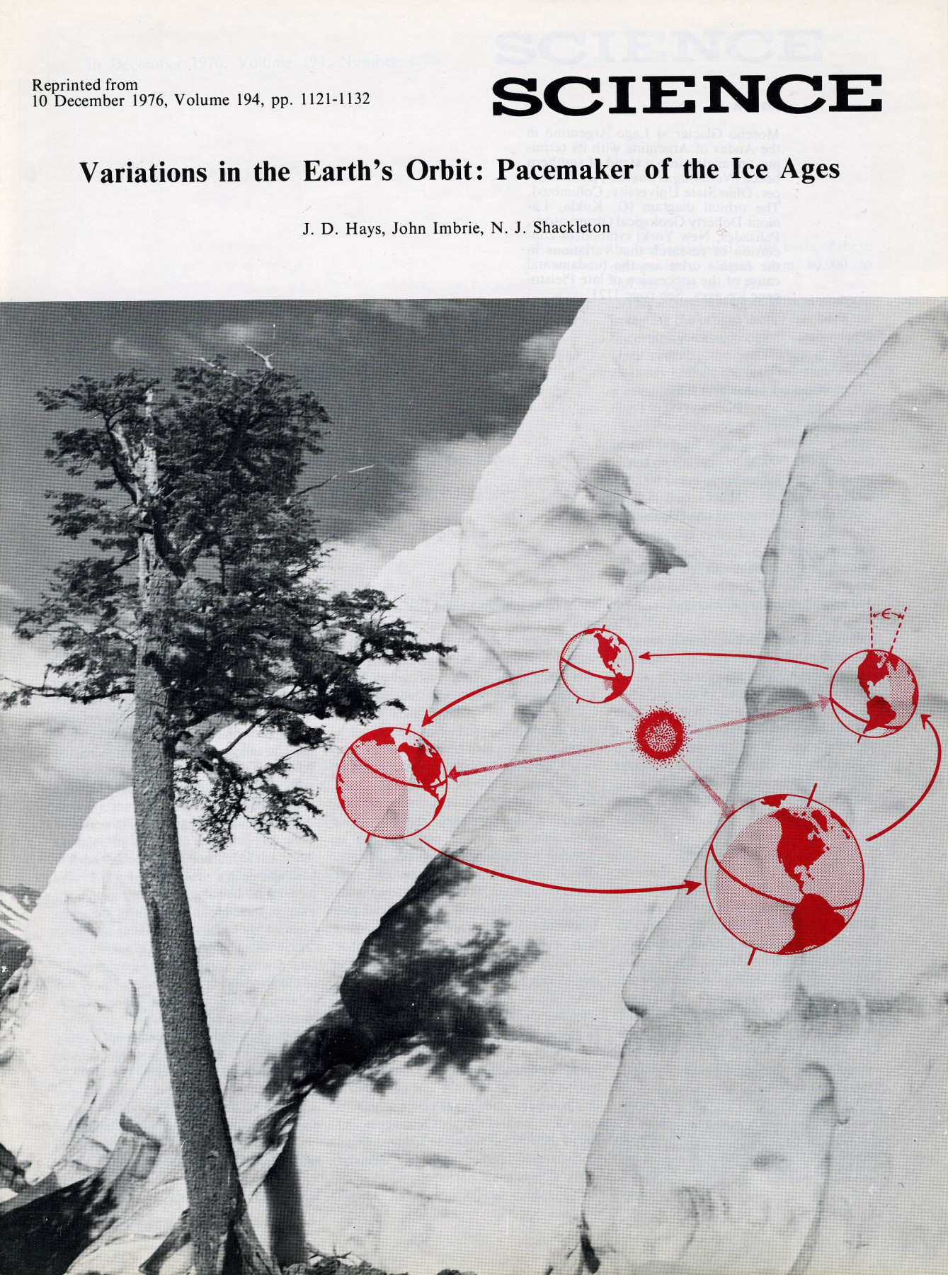  Titelbild eines Nachdrucks des wissenschaftlichen Journals Science. Foto eines Baumes an einer Klippe überlagert von einer roten Illustration der Erdumlaufbahn um die Sonne.