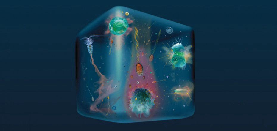 Illustration: Ausschnitt eines mit dynamischen Mikroorganismen gefüllten Wassertropfens; mit farblicher Darstellungen ihrer physikalisch-chemischen Wechselwirkungen.