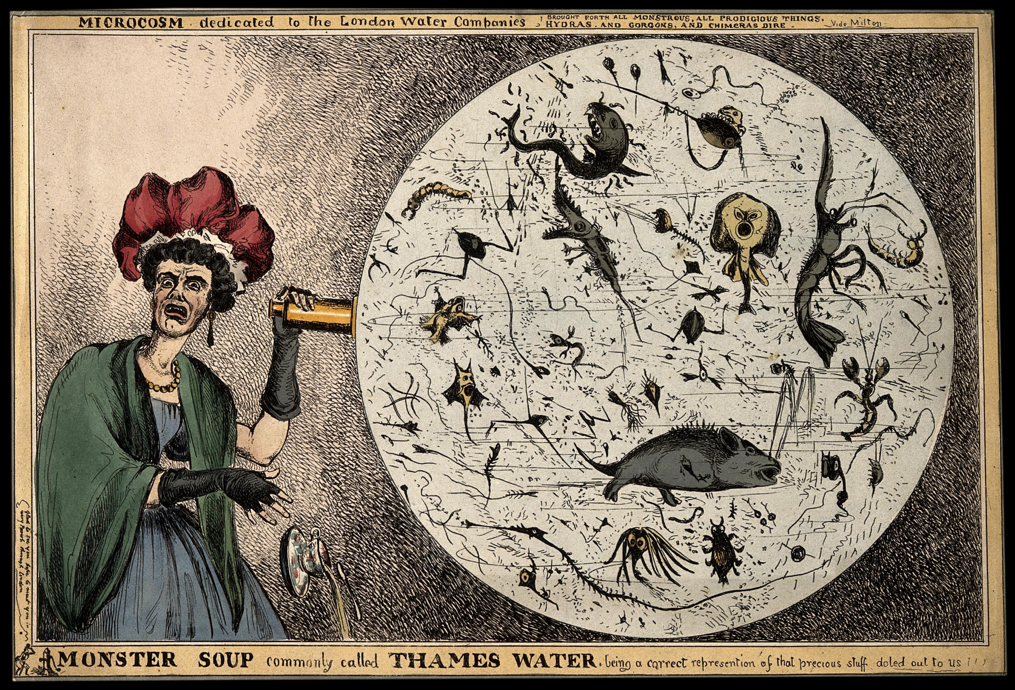 Colored illustration: A woman drops her tea-cup in horror upon discovering the monstrous contents of a magnified drop of Thames water.