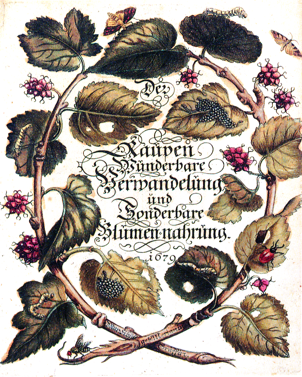Book cover with an illustration of twig curling in an oval shape on which red berries and chewed up green leaves are growing. Sitting on the leaves are caterpillars, flies, bugs, etc. The title is positioned in the middle in a serpentine font.