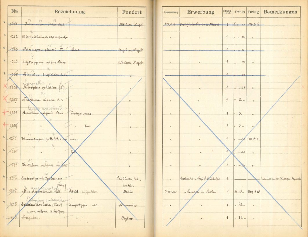 Double page in an inventory book on yellowed paper with preprinted columns. There are handwritten entries on both pages in every second column. The pages have been struck through with large blue crosses and thus marked as invalid. At the far left, there is a small red cross or a dot beside each number.