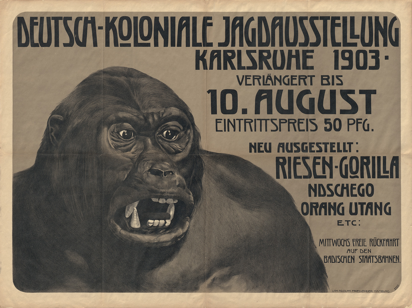 Black-and-white image with printed text: "German colonial hunting exhibition, Karlsruhe 1903. Extended until 10 August; entry 50 Pfg. New exhibit: Giant gorilla, Ndschego, Orang Utang, etc: Free return trip with the Badische Staatsbahnen on Wednesday." On the left, bordered by the text is an image of the head and shoulders of a gorilla with starting eyes and its mouth wide open, revealing its large white teeth.