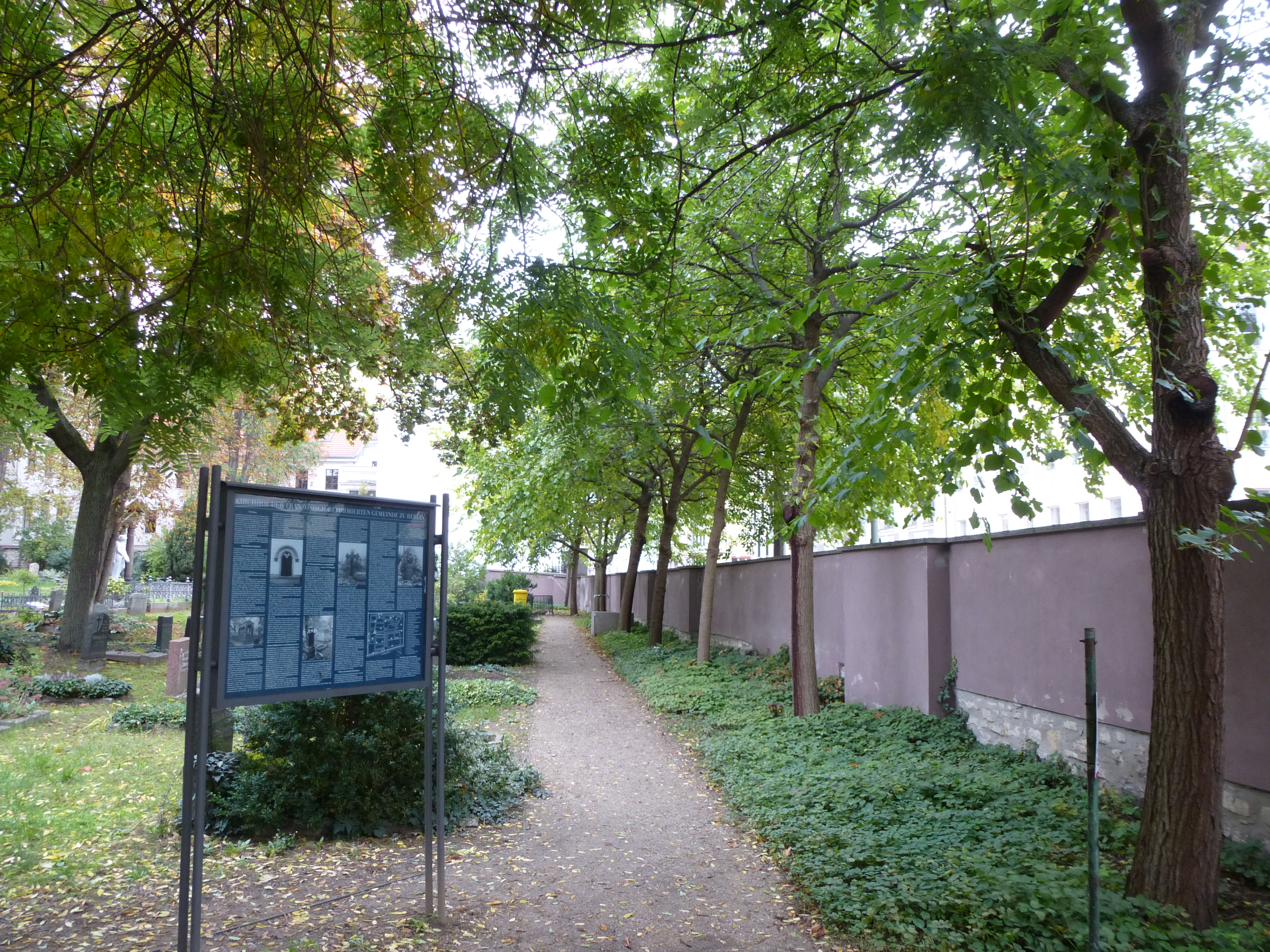 Cemetery path with a blue chart on the left. On the right is a row of young deciduous trees beside a wall.