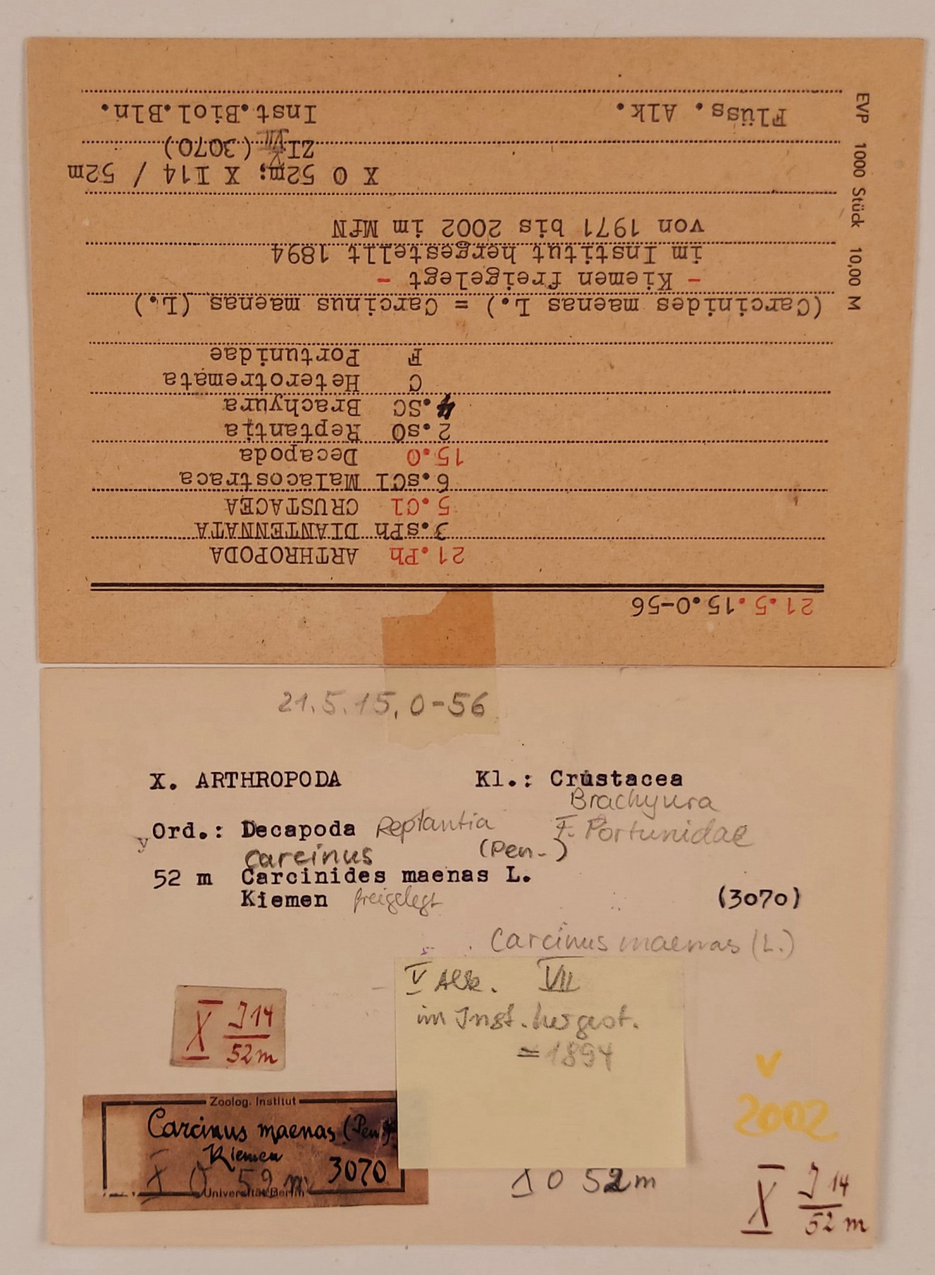 Two postcard-sized cards stuck to each other with adhesive tape. The card on top is a yellowed index card, which is upside down and has black and red typewritten text on it. The note on the bottom is less discoloured with black printed text. Stuck to it are another two old yellowed stickers, a post-it, and various words and markings that have come from at least four different pens.