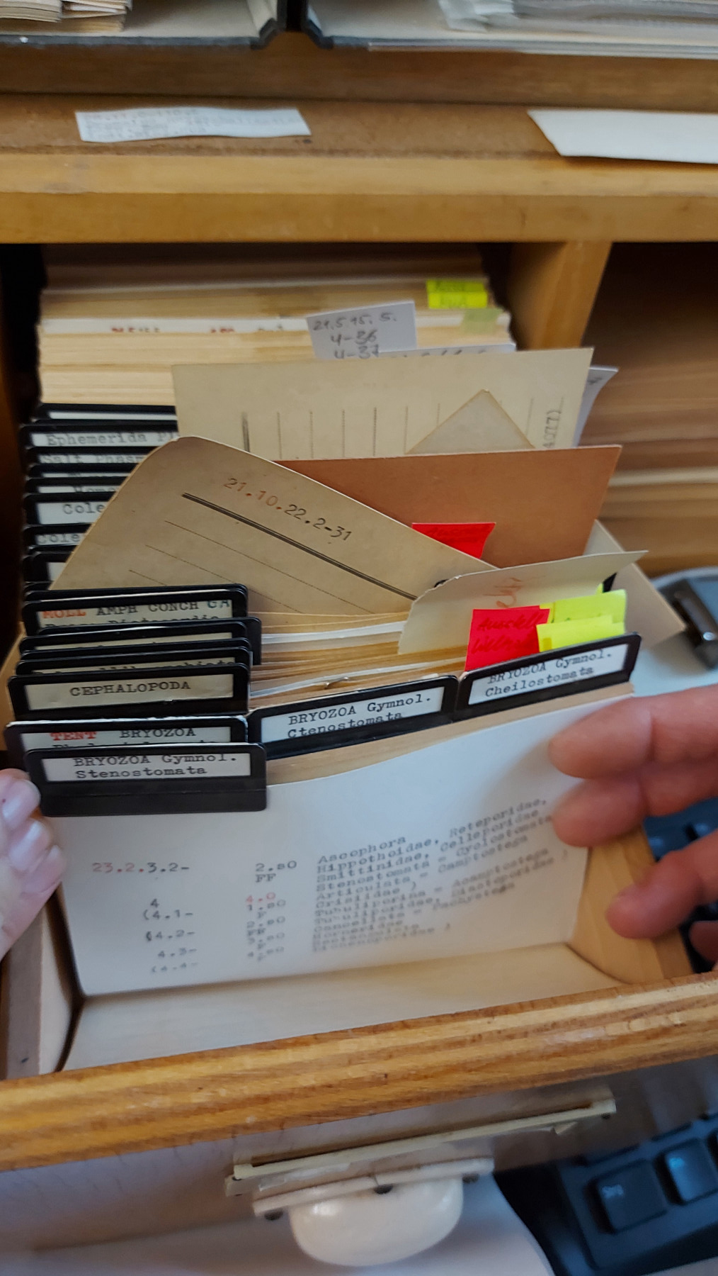 A narrow wooden box with postcard-sized printed cards. Tabs have been attached to some of the cards, some of them stick out at an angle, and some of them have been marked with small yellow or red stickers. The wooden box is one of many in the card catalogue that can be pulled out of a shelf like a drawer.