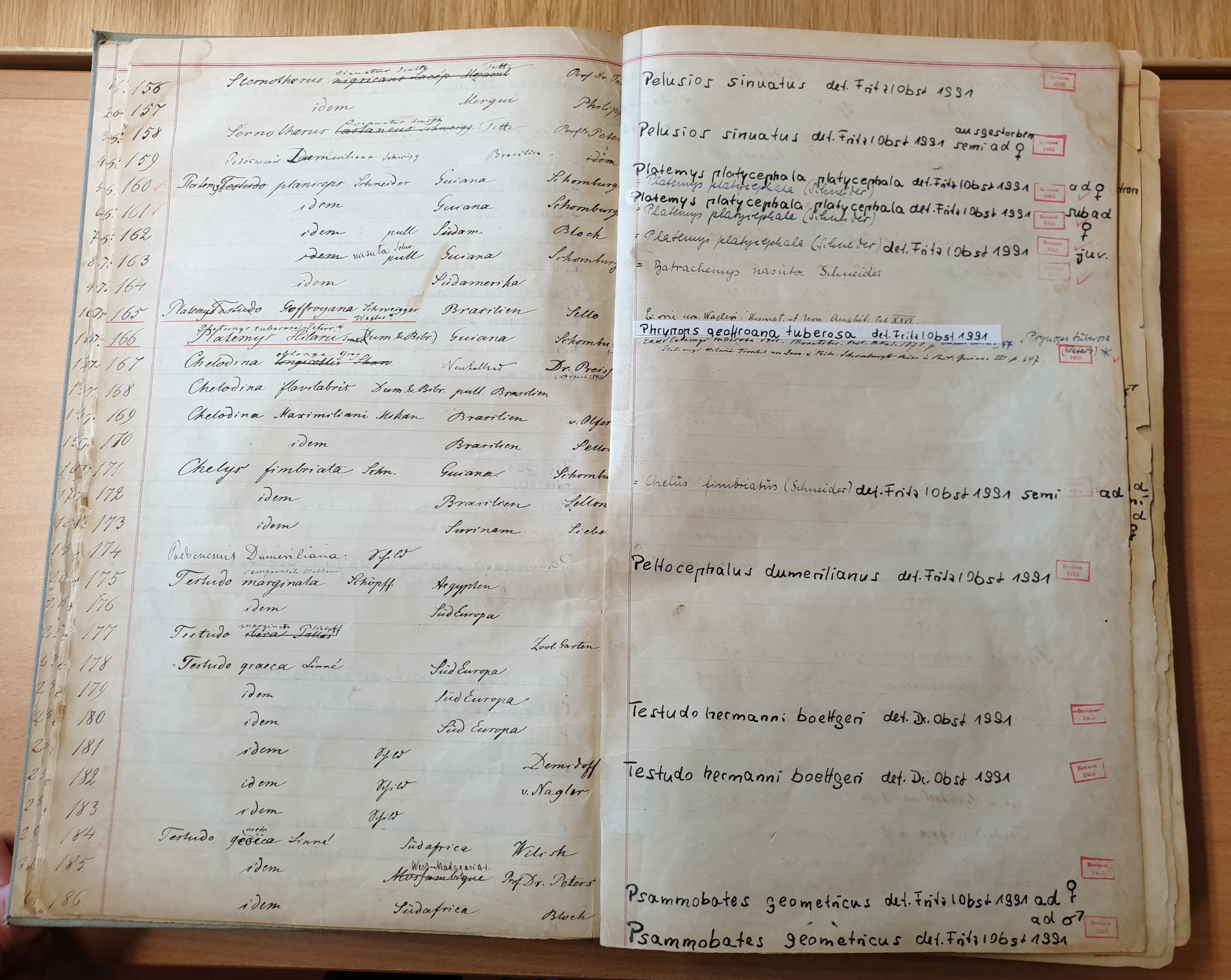 Open double page of a catalogue with handwriting and various preprinted columns and rows. On the left-hand page, consecutive numbers have been entered in the left column and, to the right of them, their Latin animal names, as well as place names and people's names. On the right-hand page, various handwritten comments have been entered on some rows and, in others, Latin animal names, years, and red stamps with the word "revision".