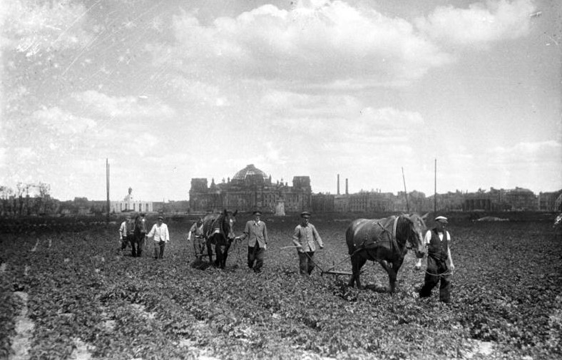 Black and white photograph: Five people with three horses, pulling simple ploughs in a large open space.