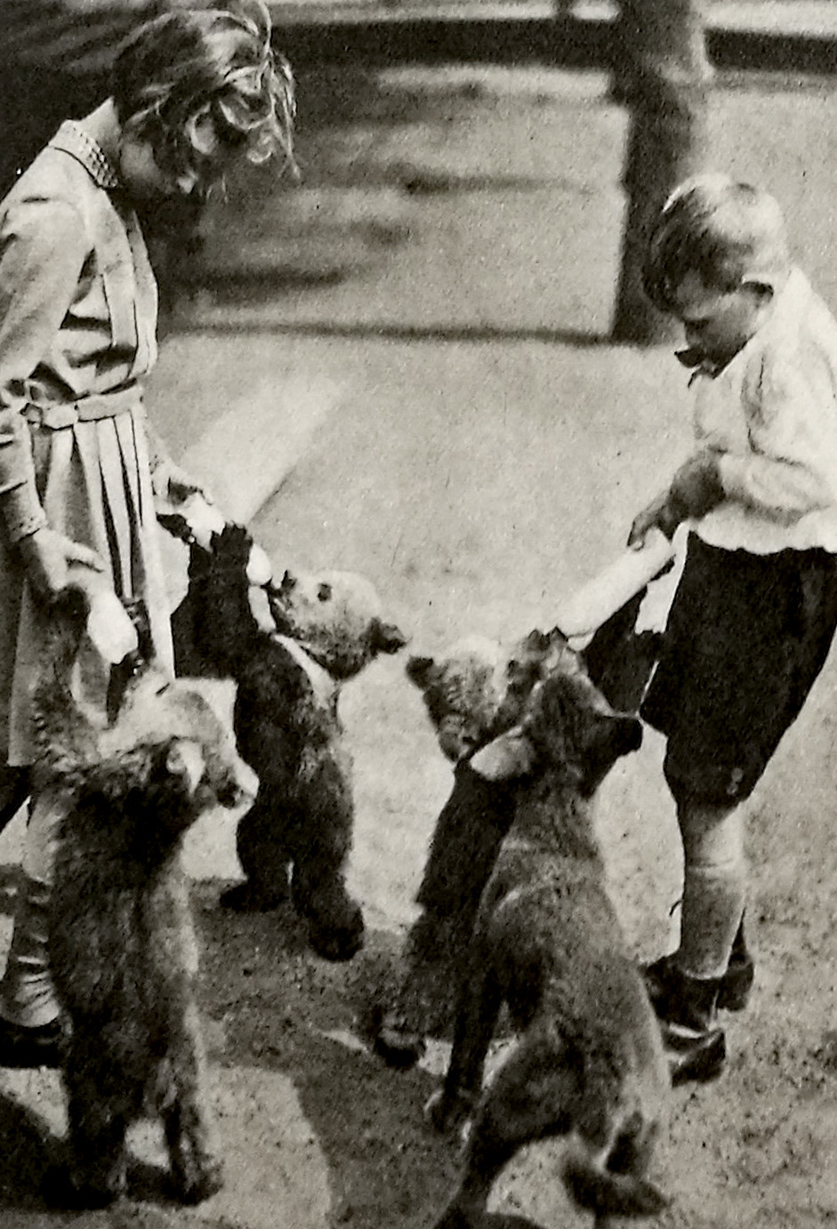 Ein Mädchen und ein Junge stehen in einem Zoogehege und füttern drei Bärenjungen und ein Fuchsjunges mit Babyfläschchen.