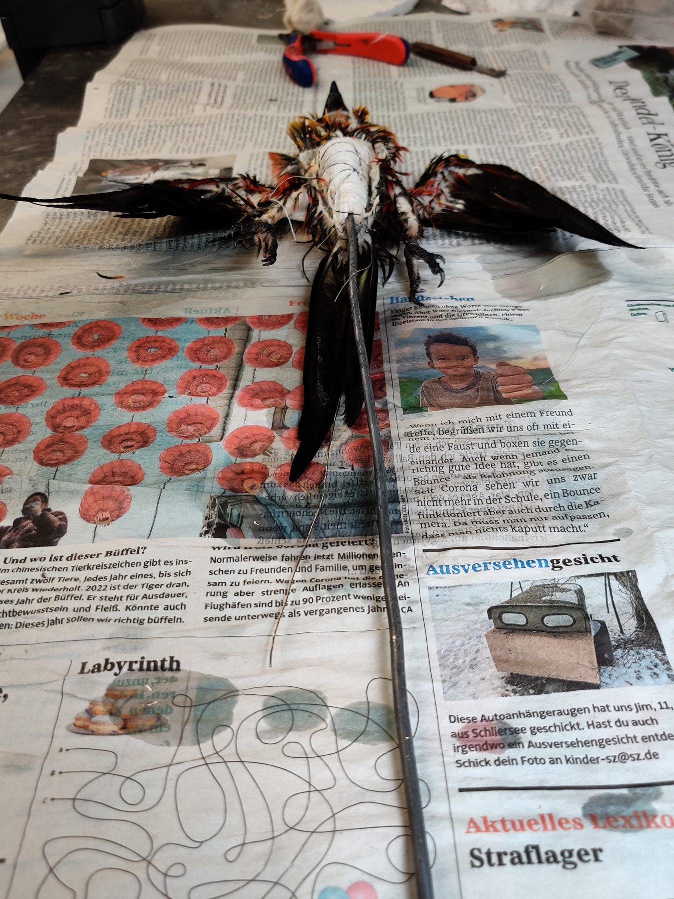 Close-up of the body of a dead bird with its wings outspread lying on its back on colourful newspaper. A metal handle has been inserted into the bottom of the body. The chest area of the body has been opened up down to the tail and filled with a white material (wood wool). Behind the bird are tools.