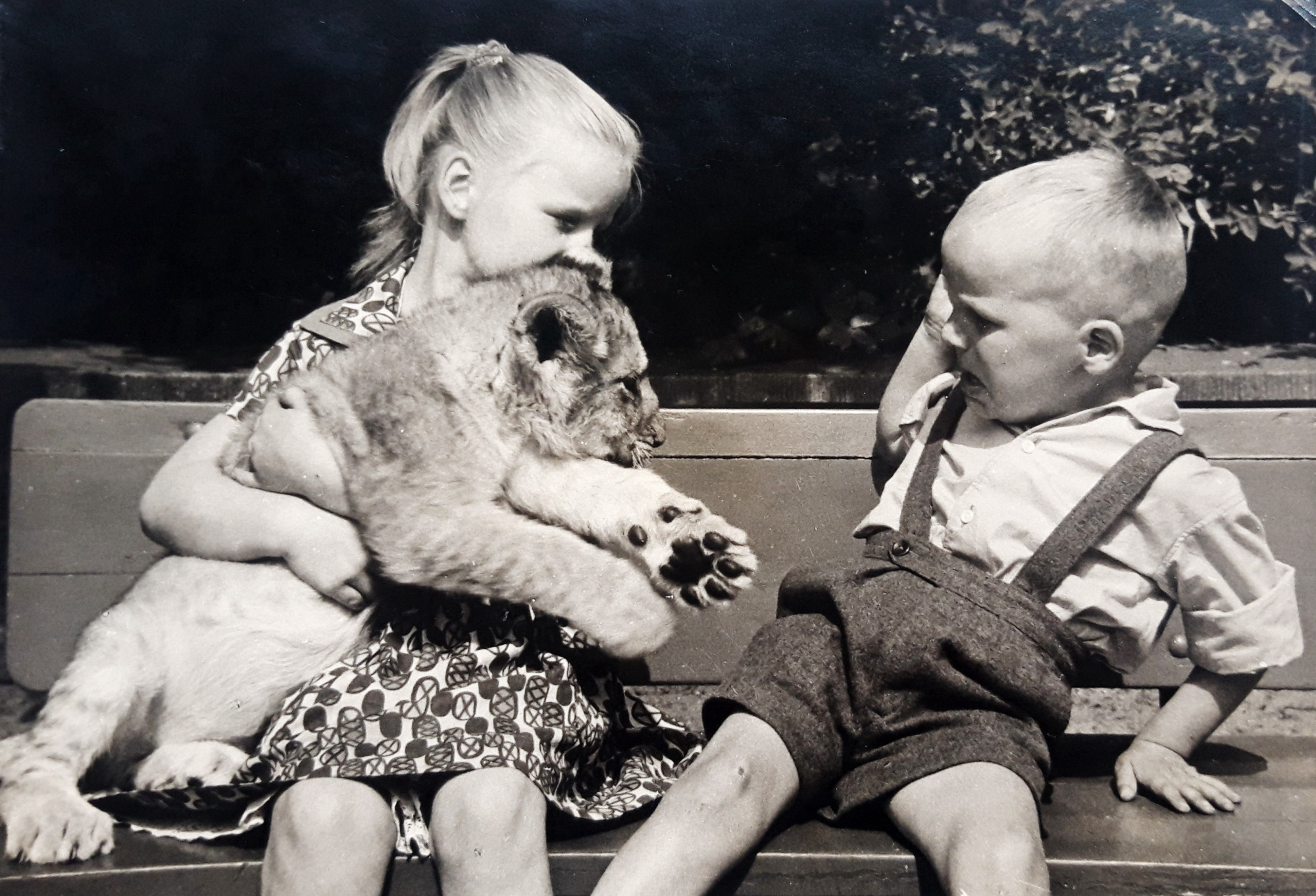 A young girl and a boy sit on a bench. The girl uses both arms to hold a lion cub towards the boy, who shrinks back with fearful facial expressions and body language.