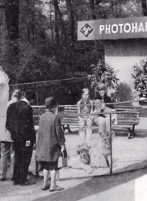 Zoo photographer's booth with bench, on which two young visitors are being photographed with a lion cub. Two other lion cubs are lying down in the fenced-in enclosure; other spectators are standing in front of the fence.