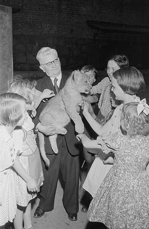Black-and-white photo of a man wearing a suit carrying a lion cub in his arms and holding it out towards a group of children, who are all looking at the lion and holding out their hands to stroke it.