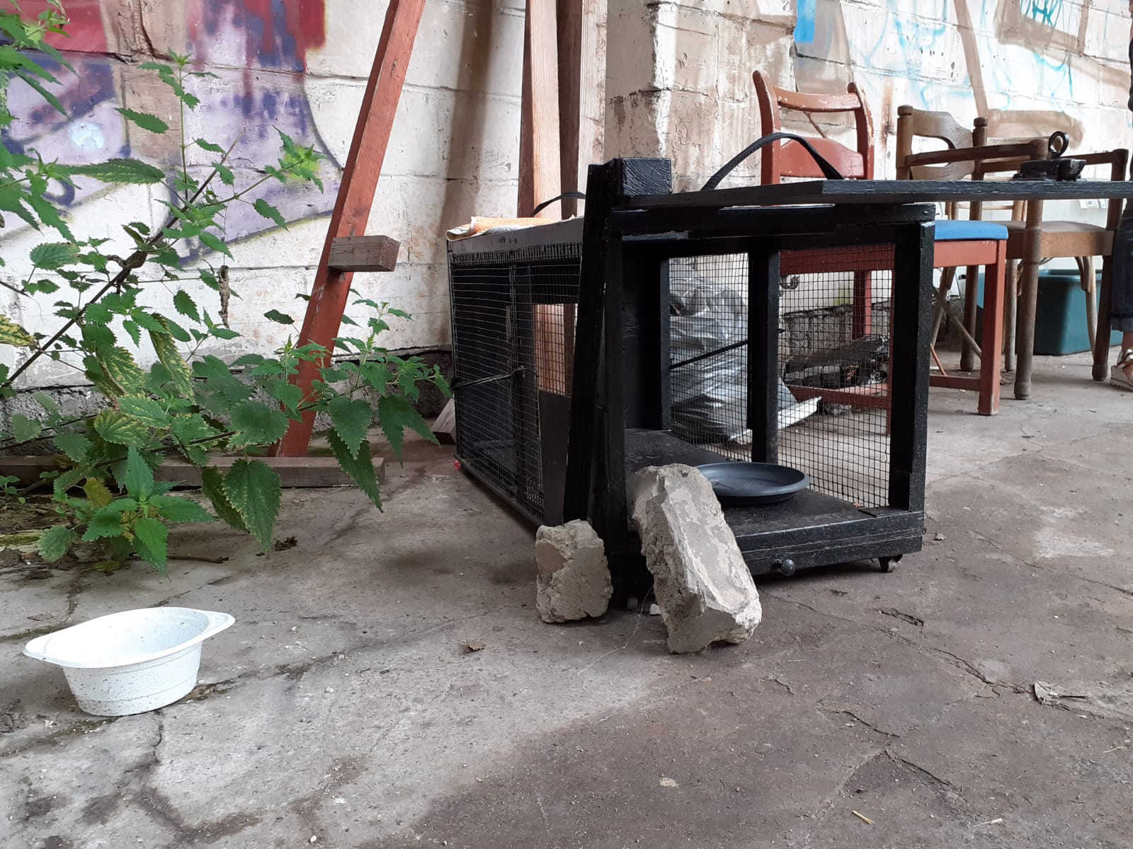 A black wooden box with a metal grate with an open hatch has been placed outside. Two stones are leaning against the box to keep it open; inside is a water bowl. In the background there are three chairs in front of a wall sprayed with graffiti.