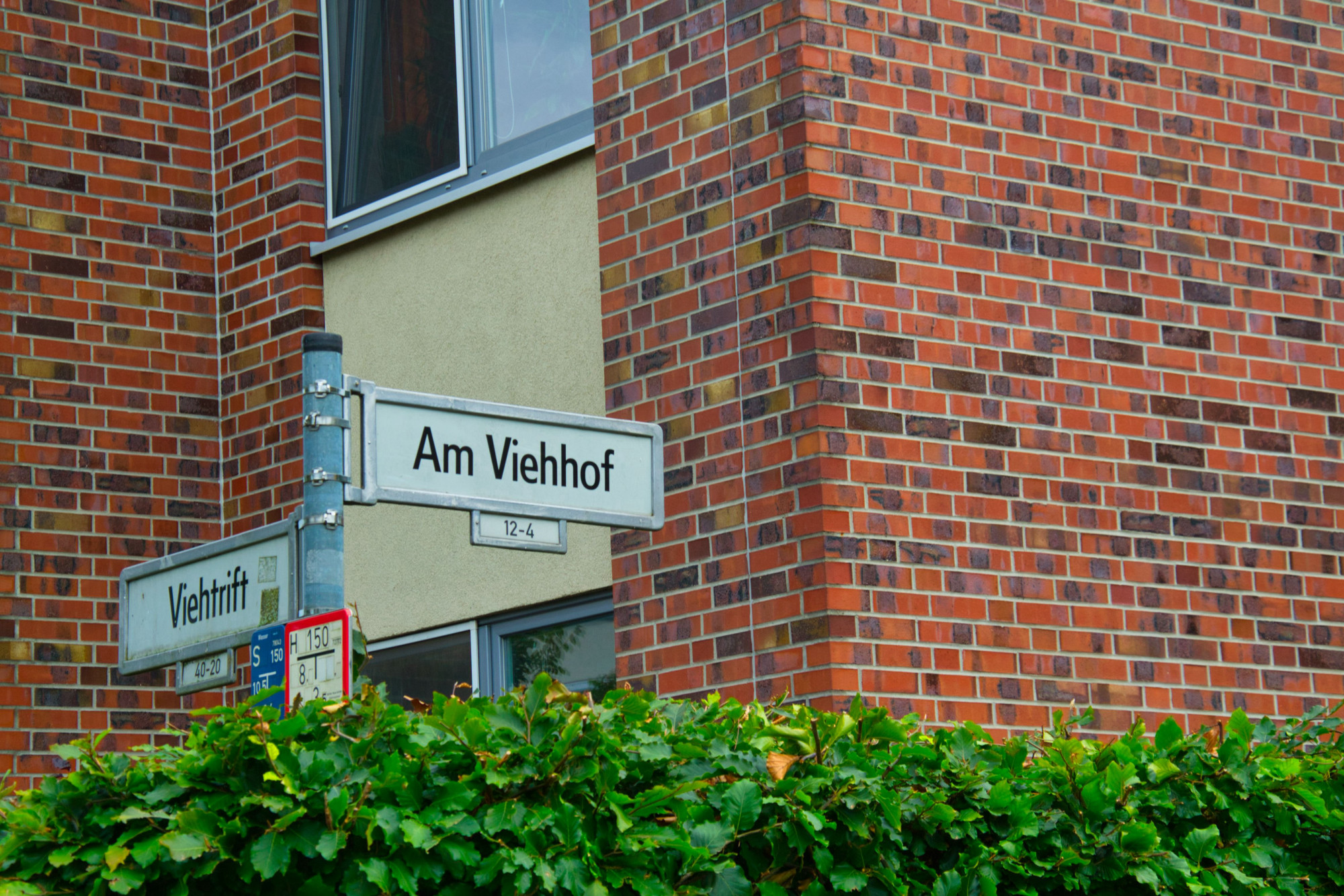 Photography of a street corner with a street sign with two street names: "Am Viehof" and "Viehtrift". In the foreground is a green hedge and in the background is a brick building.