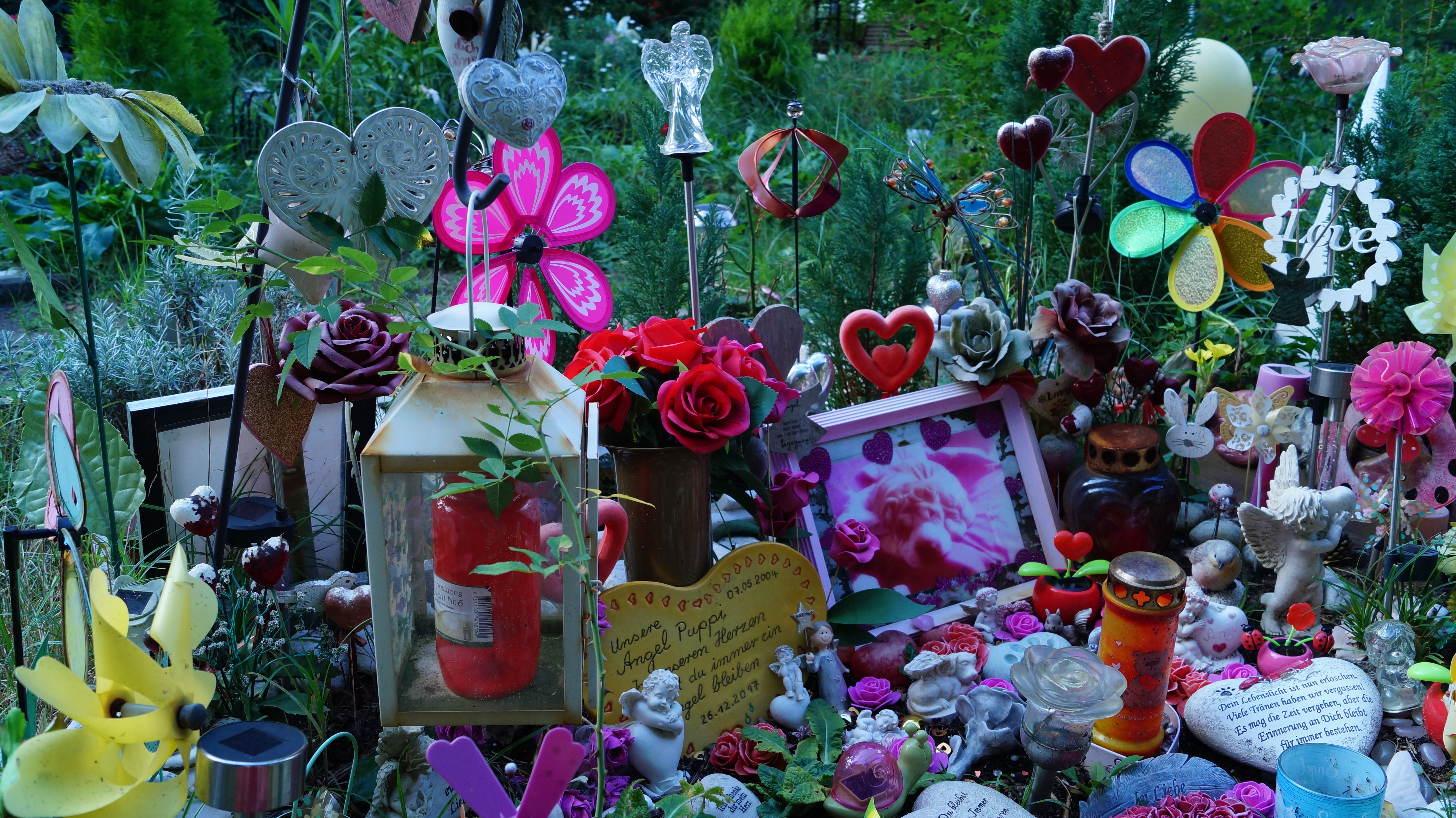 Tiergrabstätte, geschmückt mit Blumen, eingerahmten Fotografien, Kerzen und bunten Objekten.
